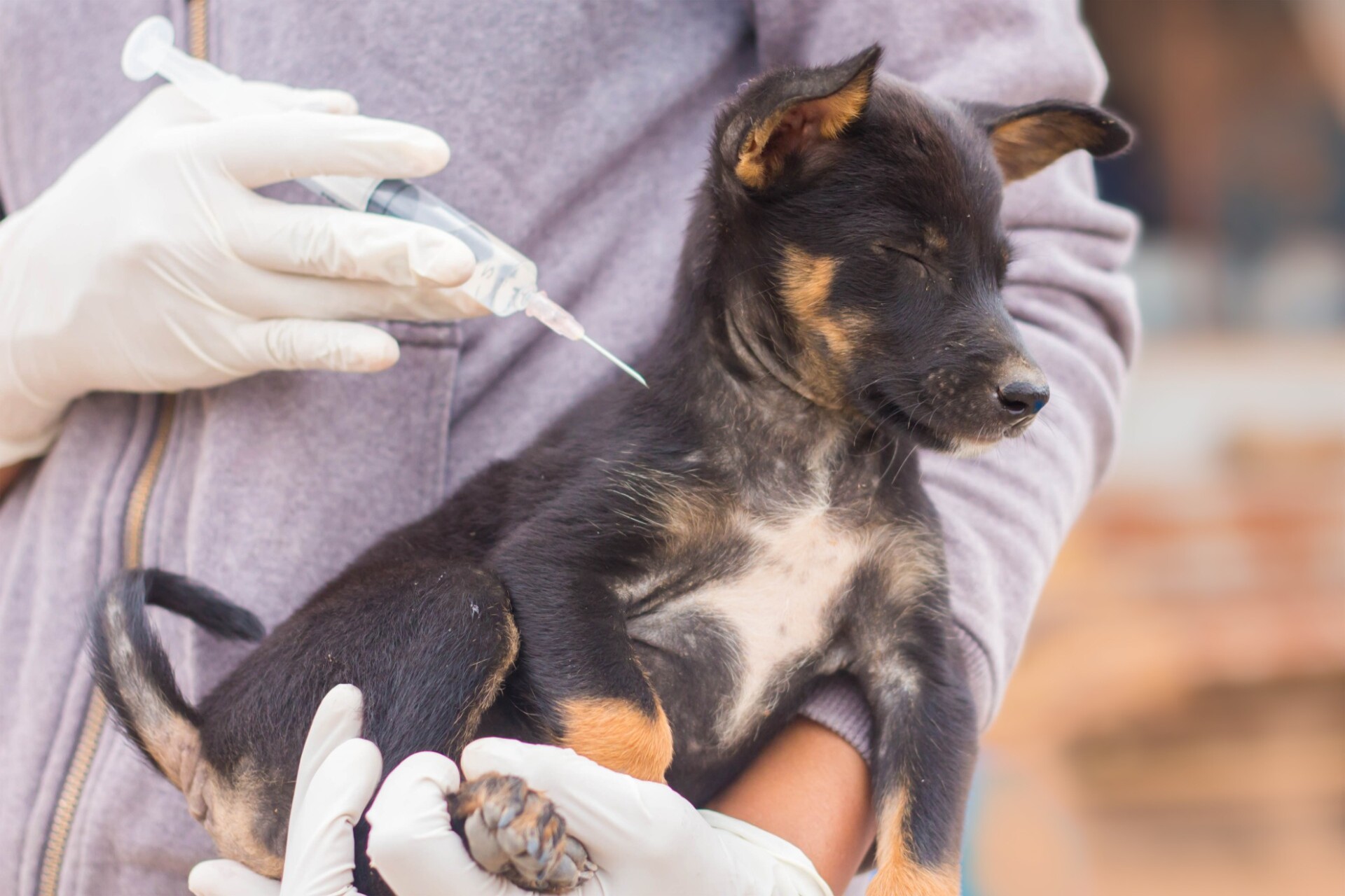 横浜