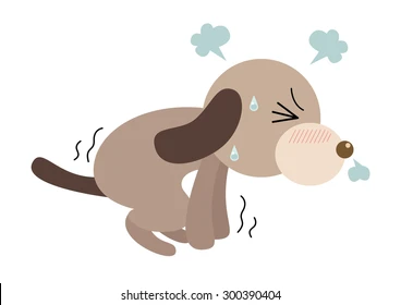 愛犬・愛猫の健康を守るために、便の変化を見逃すな！