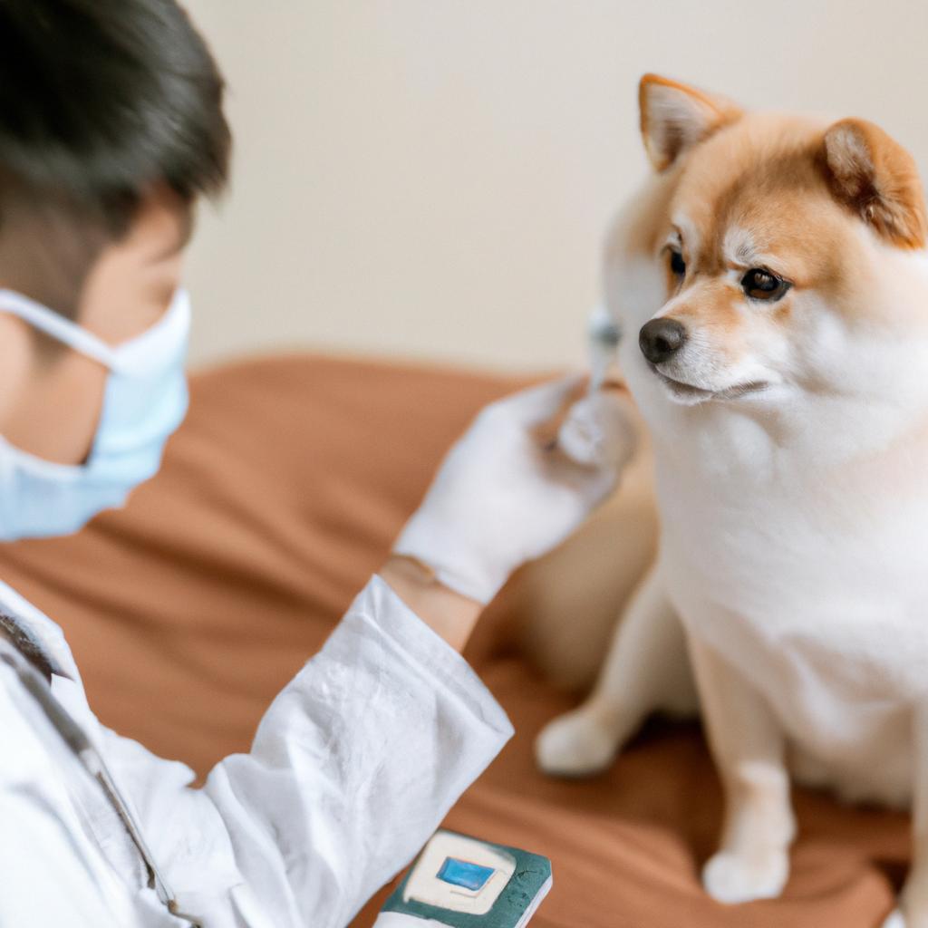 獣医師による適切な治療