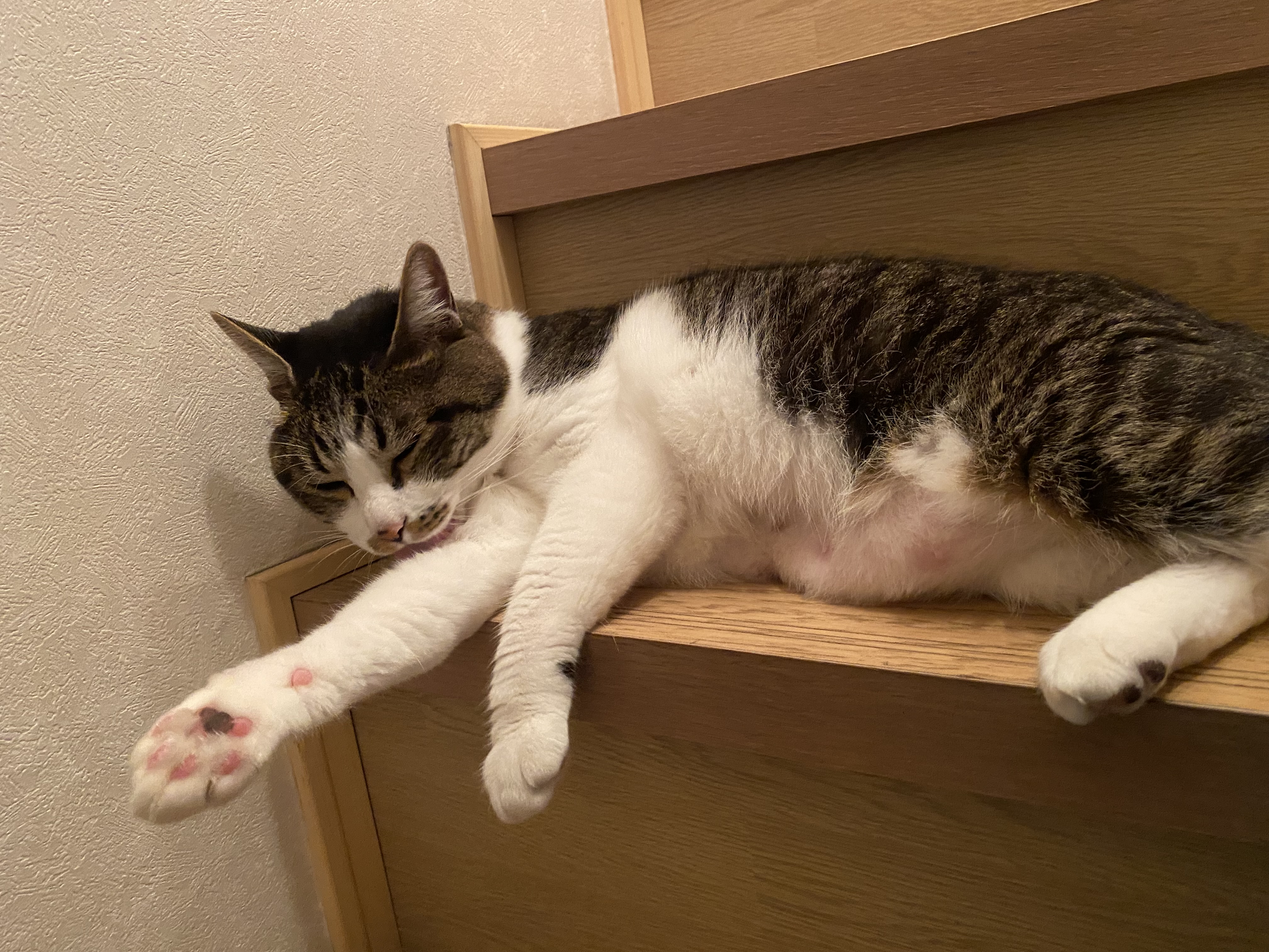 手術の可能性とその選択肢