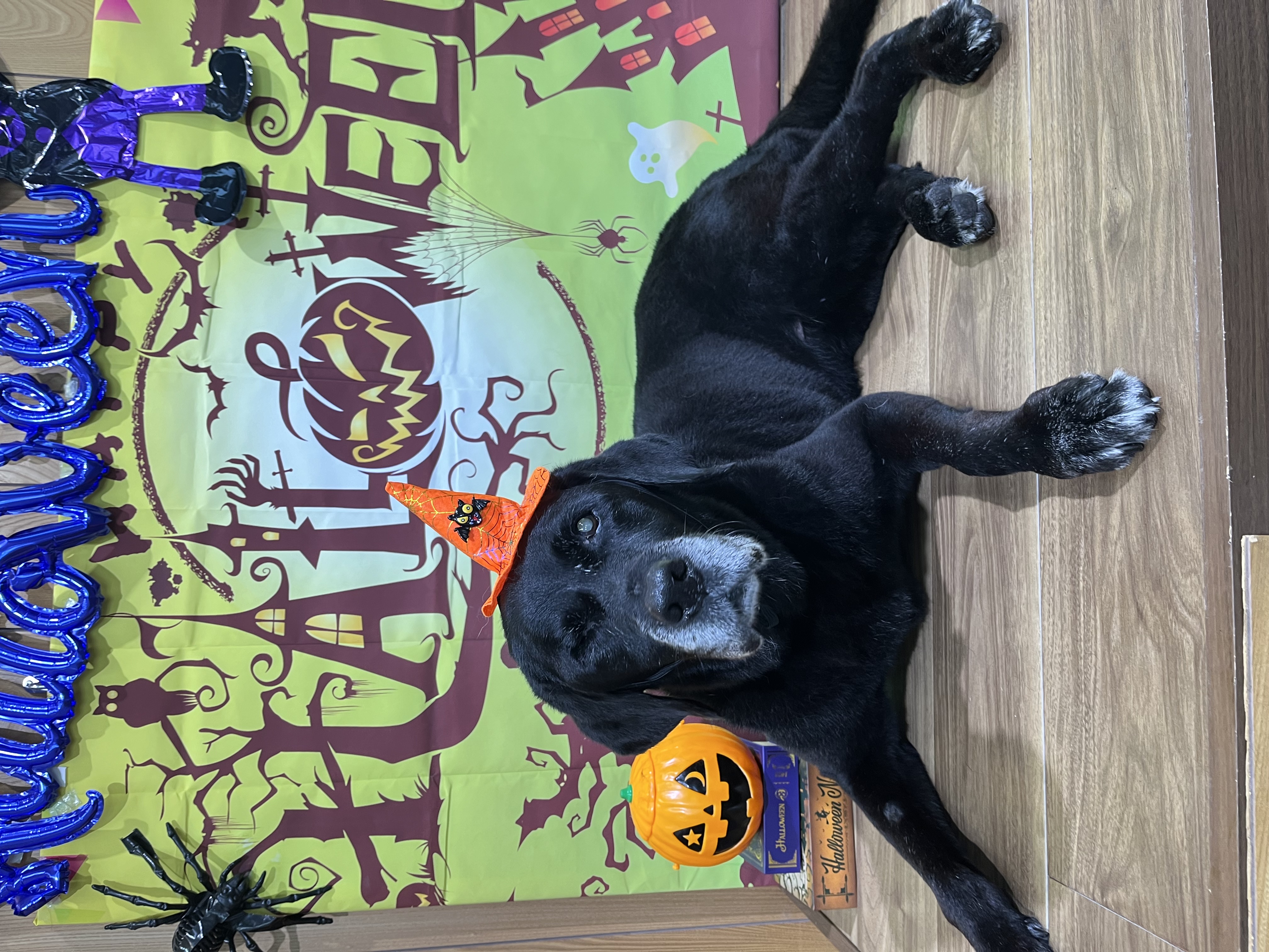 セカンドオピニオンで見える新しい糖尿病治療の未来