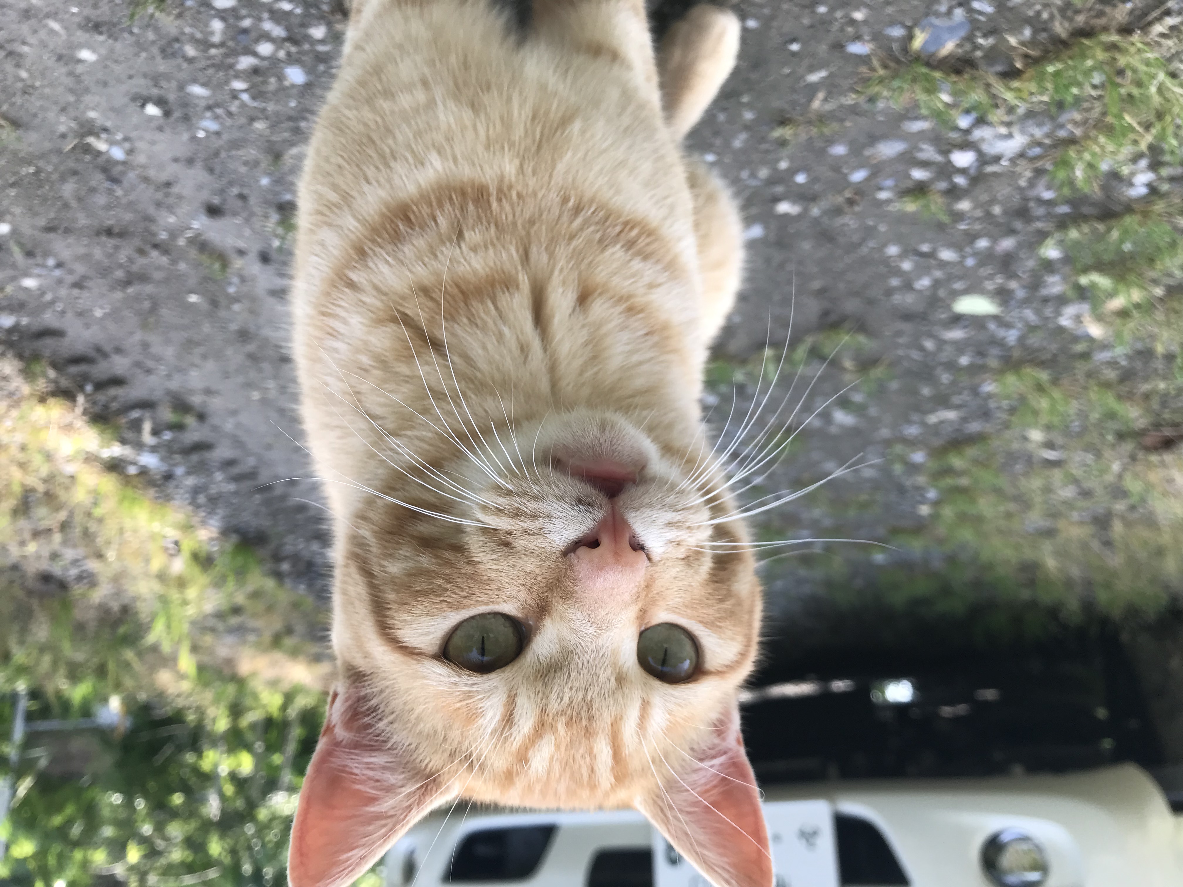 診断方法