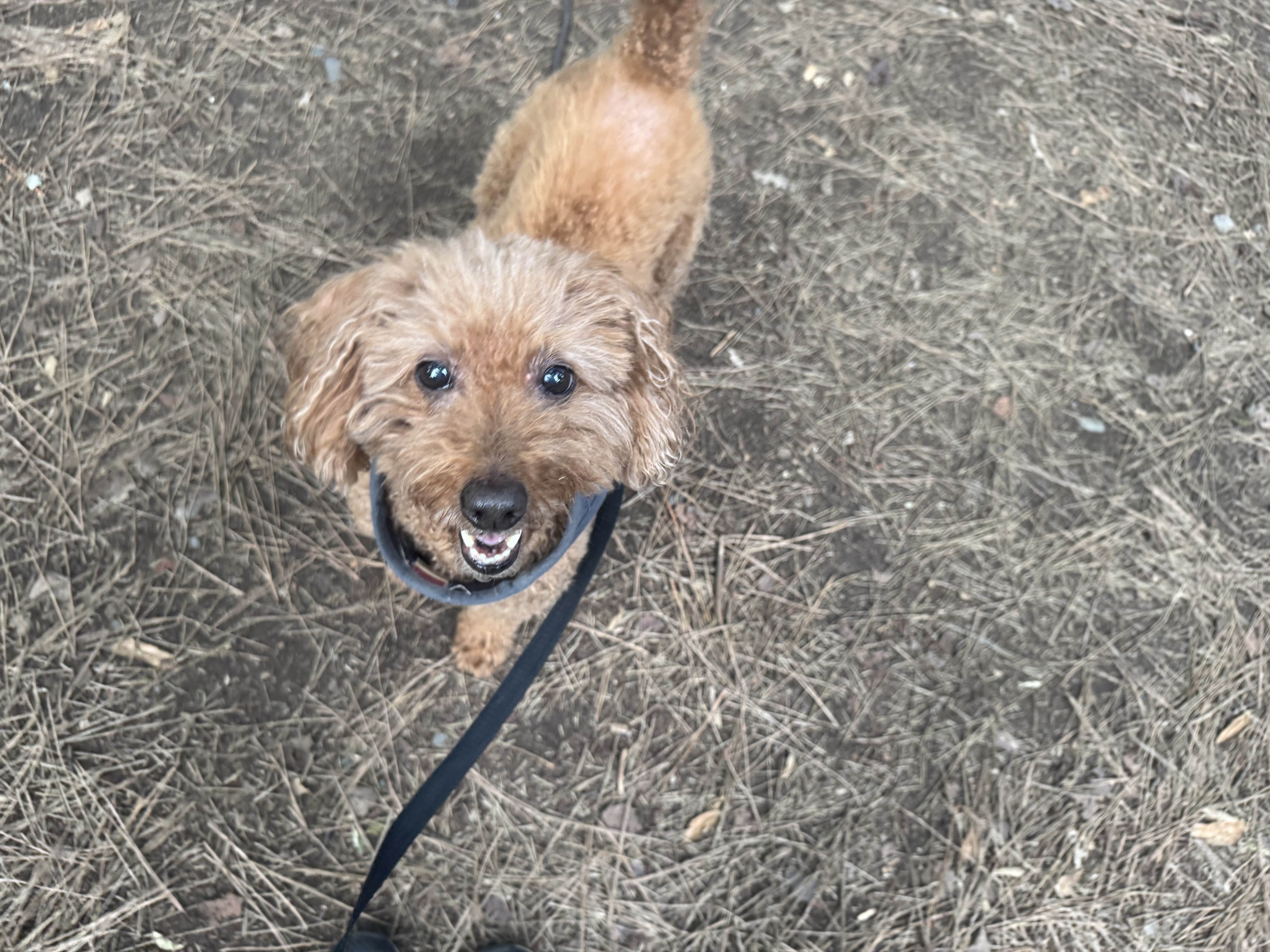 「あなたの大切な家族を守るために」