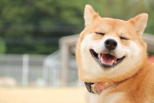 眼球突出の症状