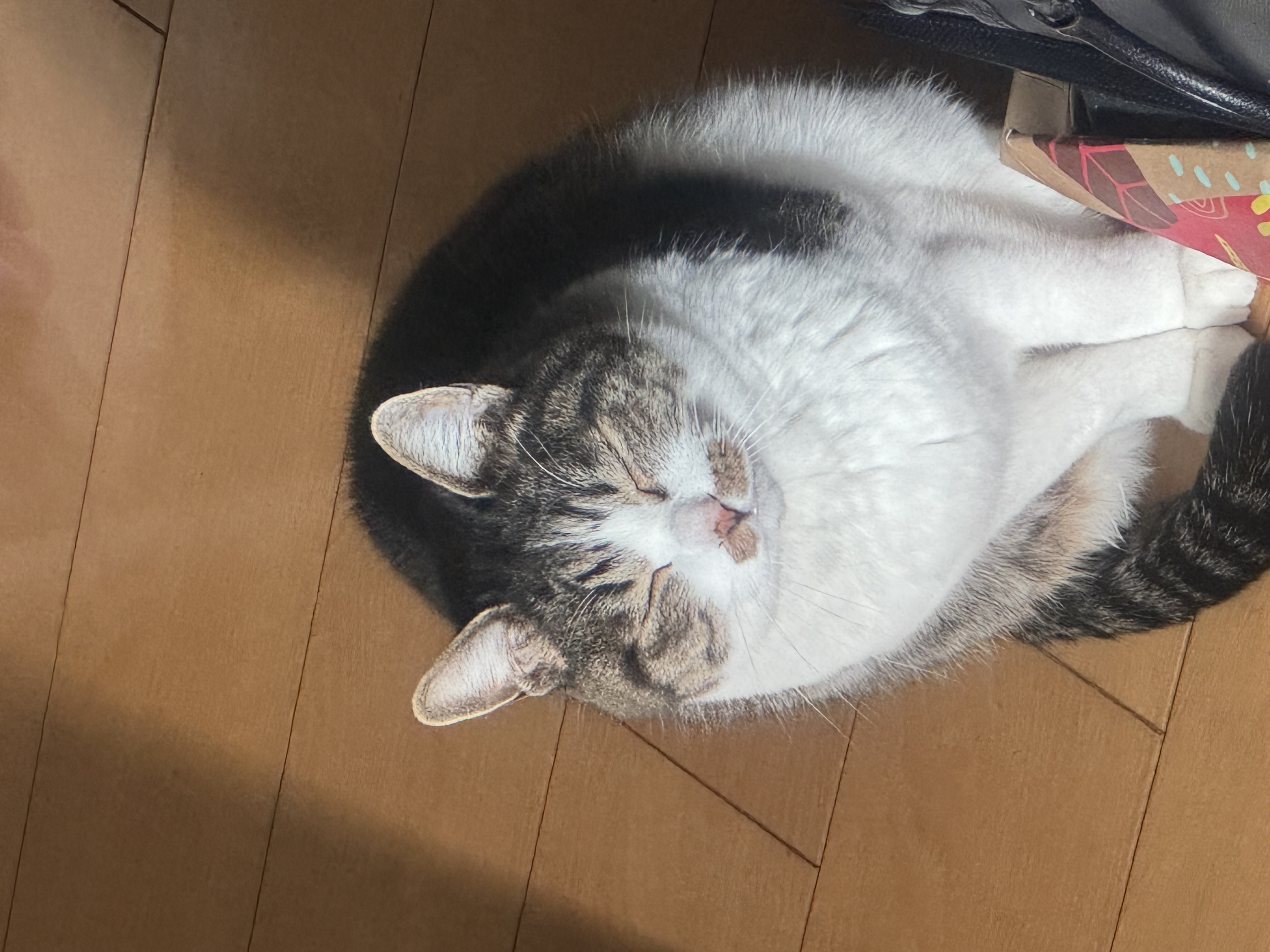 ご相談・お問い合わせはこちら