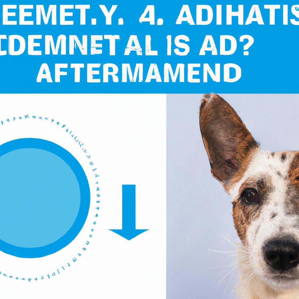 あなたの愛犬・愛猫のアトピー性皮膚炎、正しく理解していますか？