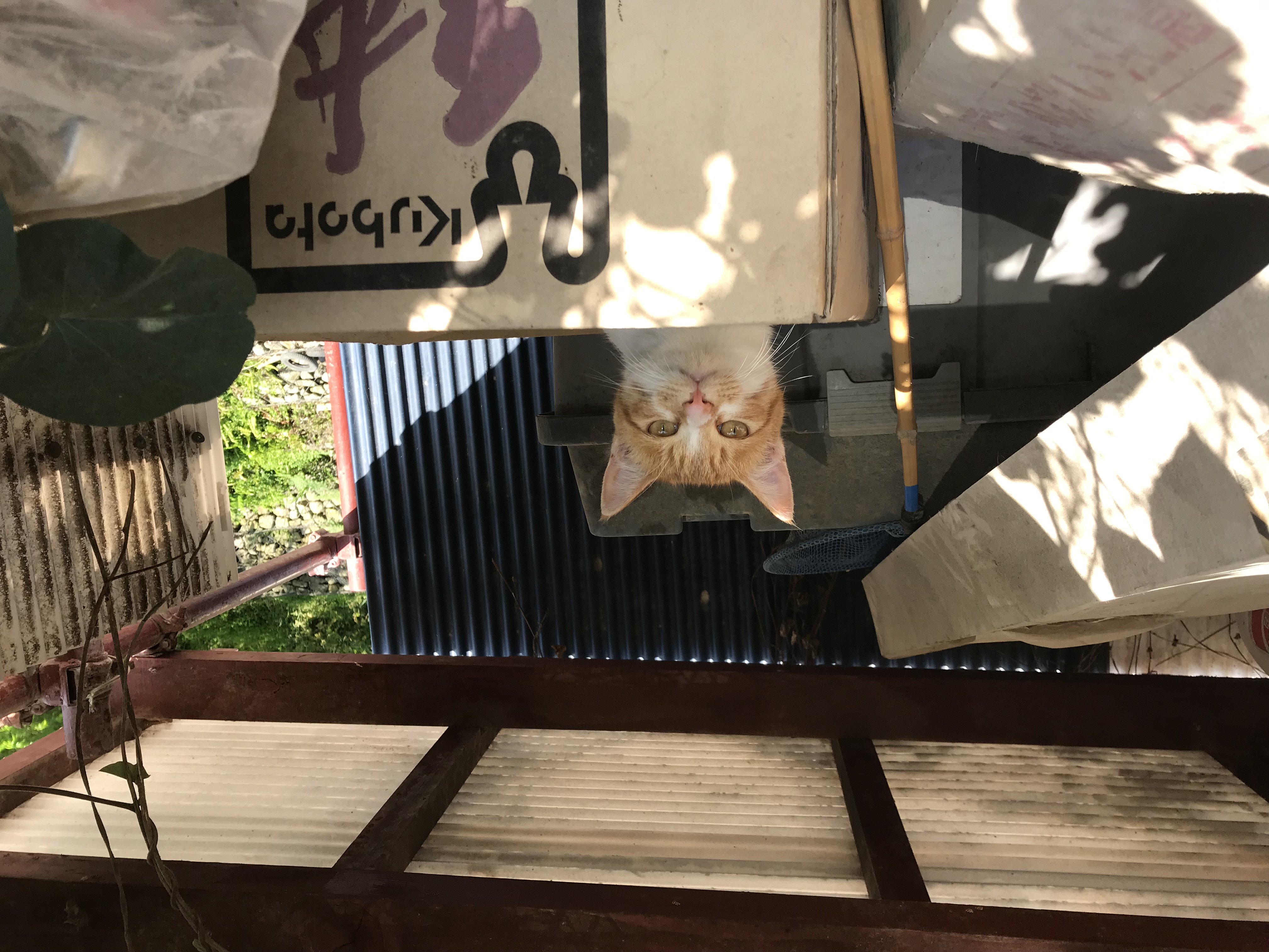 あなたの大切な家族を守りましょう！