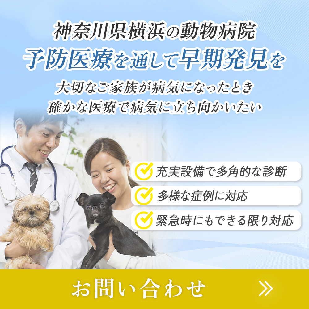 modal_banner